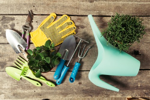 A collection of gardening tools and accessories arranged on a weathered wooden surface, including a pair of yellow and purple pruning shears, a small hand trowel, a transplanting fork, plastic gloves, a green spray nozzle, and a potted shrub with dense green foliage. The background shows the textured natural grain of the wood, indicative of an outdoor garden workspace. The tools are clean and organized, suggesting preparation for garden maintenance or planting activities typical in a managed outdoor space, possibly in Woolwich or the surrounding South East London area. The natural lighting highlights the vibrant green of the plants and the bright colours of the tools, emphasizing outdoor gardening and lawn care preparations, aligning naturally with services such as hedge trimming, lawn care, and garden landscaping offered by Hedge Trimming Woolwich, a locally based gardening specialist.