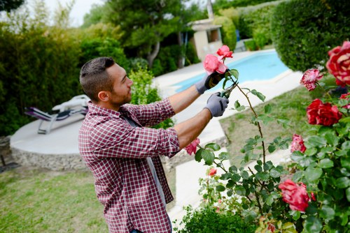 Effective pest management in Woolwich gardens