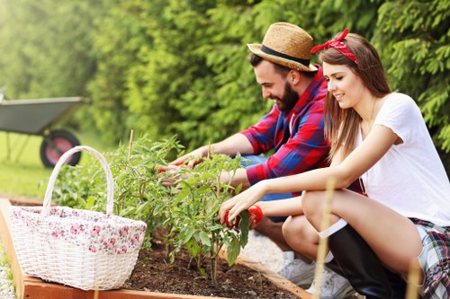In a well-maintained outdoor garden in Woolwich, two individuals are engaged in gardening activities. The foreground features a neatly arranged flower bed or vegetable patch with rich, dark soil, where the two are tending to lush green plants, possibly herbs, with one person using their hands to gently prune or inspect the foliage. To the left, a white wicker basket with a floral pattern sits on a wooden surface, likely used for collecting garden produce. The background includes a vibrant green hedge or shrubbery, creating a natural boundary, and a lawn area with well-kept grass extends further back. The scene is bathed in natural daylight, indicating a clear and pleasant weather, ideal for outdoor gardening. The individuals are dressed casually, with the man wearing a straw hat and a plaid shirt, and the woman in a white t-shirt and plaid skirt, both appearing focused and content in their gardening activity. This setting exemplifies typical outdoor garden maintenance and plant care, consistent with professional gardening services offered by Hedge Trimming Woolwich in the local area, reflecting a peaceful residential garden setup aiming for healthy, lush greenery.