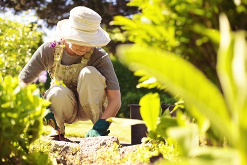 Healthy trimmed hedges in a Woolwich garden