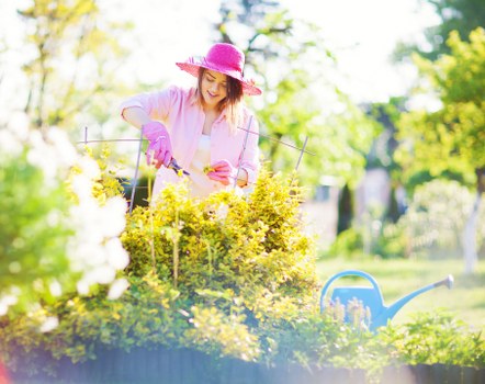 A woman wearing a pink wide-brimmed straw hat, pink gardening gloves, and a light pink shirt is gardening outdoors in a well-maintained garden in Woolwich. She is trimming a dense, yellow-green hedge, using a small hand tool, with the hedge forming a neat boundary along a paved or grassy area. The garden features a lush lawn in the foreground and a variety of trees and shrubs in the background, with sunlight filtering through the leaves, indicating a bright and clear day. A blue watering can is visible on the grass near the woman, and the overall scene appears vibrant and tidy, reflecting professional outdoor maintenance typical of gardening services in the Woolwich area. The setting suggests a peaceful, landscaped garden space, suitable for gardening and lawn care activities associated with local garden maintenance providers like Hedge Trimming Woolwich.