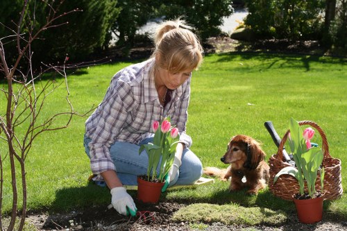 Experienced arborists performing tree services
