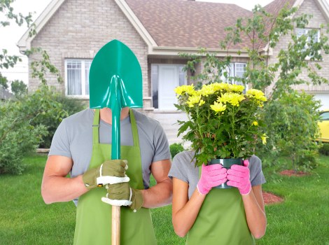 Eco-friendly hedge maintenance in Woolwich