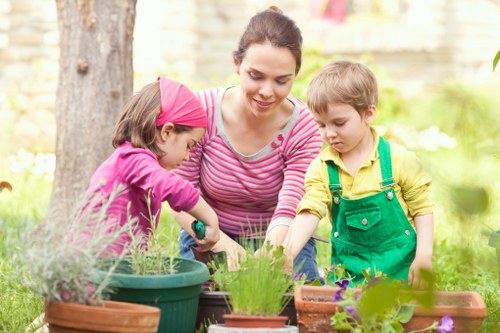 Healthy and vibrant garden grass